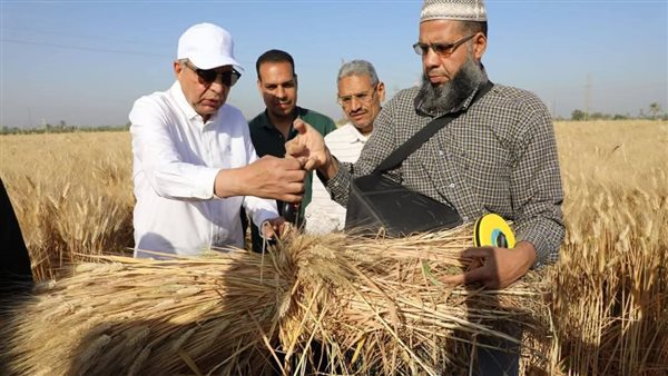 محافظ المنيا يتابع