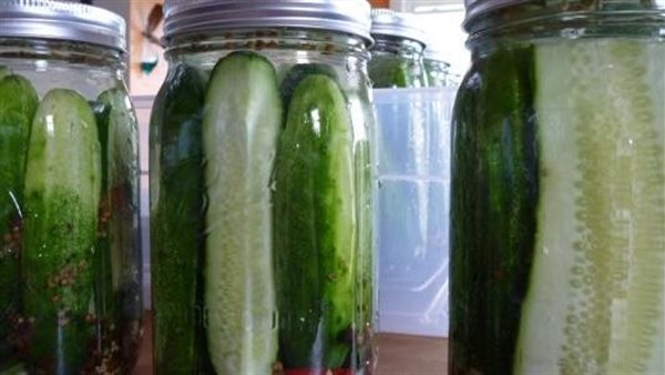 طريقة عمل مخلل الخيار