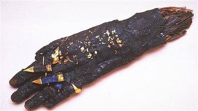 مُكتشفة في منطقة سقارة.. متحف ليفربول يعرض يد مومياء أنثي من العصر الروماني 