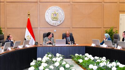 وزيرا البيئة والكهرباء يبحثان سبل توافق مشروعات الطاقة المتجددة مع معايير حماية التنوع البيولوجي | صور 