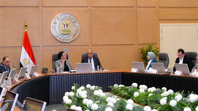 الكهرباء والبيئة تتفقان على آليات جديدة لتوافق مشروعات الطاقة مع معايير الاستدامة