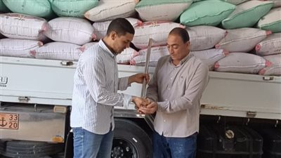 توريد 9203 أطنان قمح لشون وصوامع البحيرة