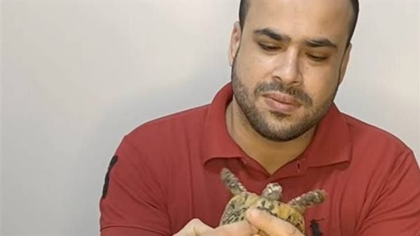 سامح هنداوي 