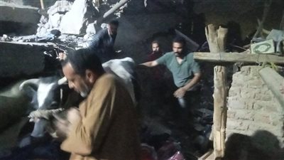 استخراج مواشي وأغنام من تحت انقاض عقار أسيوط المنهار