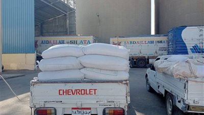 منذ بداية موسم التوريد.. صوامع قنا تستقبل 36 ألف طن من القمح 