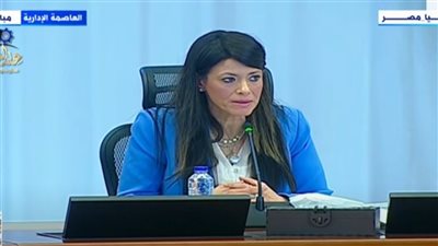 وزيرة التخطيط: البنك الدولي وصندوق النقد يشيدان بتقدم مصر في تنفيذ برنامج الإصلاح الاقتصادي