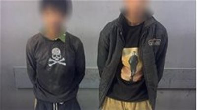 بأسلوب التسلق.. القبض على المتهمين بسرقة كشاف من أحد أعمدة الإنارة بالسلام 