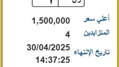 رن 1.. تفاصيل لوحة مرور مميزة بسعر 1،5 مليون جنيه