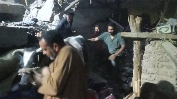 جانب من استخراج رؤوس