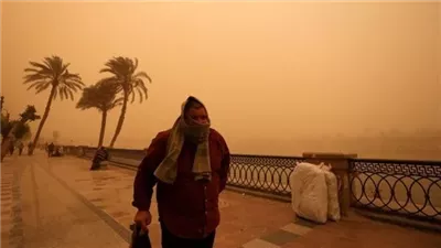 الأرصاد تكشف حقيقة وجود عاصفة زينب الترابية في أسيوط 