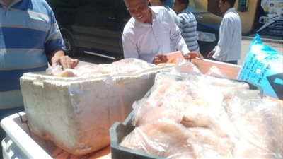 ضبط نصف طن أسمدة مدعمة وتحرير عشرات المخالفات خلال 48 ساعة في الأقصر