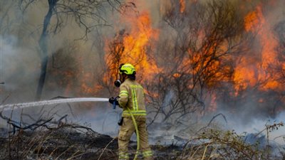 إعلام عبري: الحرائق تتصاعد في تل أبيب ومطار بن جوريون يستعد لاستقبال المساعدات من مختلف أنحاء العالم