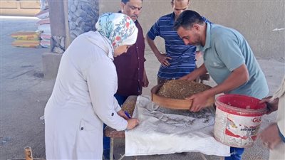 محافظ الجيزة: توريد 16 ألف طن قمح بمواقع الاستلام والتخزين منذ بداية الموسم 
