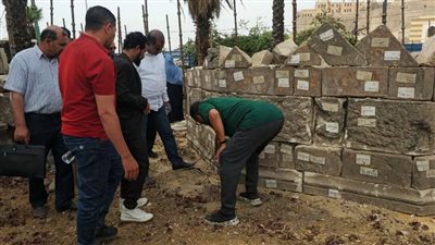 لمتابعة المستجدات.. الآثار تتفقد مشروع إعادة تركيب وبناء مئذنتي التربة السلطانية وقوصون| صور