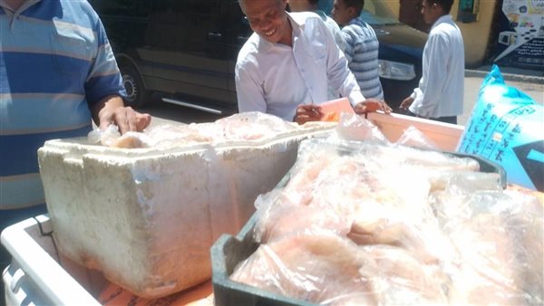 حملات مكثفة لتموين