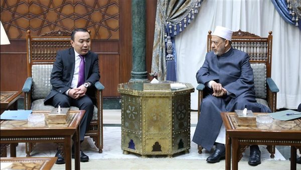 شيخ الأزهر وسفير