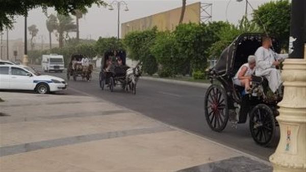 السائحين مستمتعين