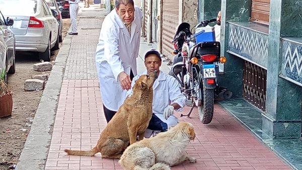 حملة لتطعيم الكلاب