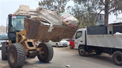 بورسعيد × 24 ساعة | حملات لمكافحة النباشين وجهود لتحصين الكلاب.. والمحافظ يهنئ الرئيس بعيد العمال