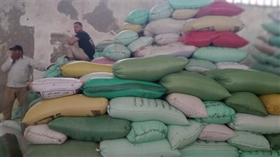 توريد 26220 طن قمح حتى الآن لصوامع وشون البحيرة