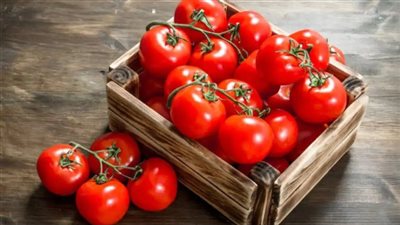 بسبب الطماطم.. ارتفاع عدد إصابات التسمم الغذائي والسالمونيلا في أوروبا