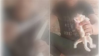 حبس المتهم بالتعدي على قطة خلال بث مباشر بالأقصر 4 أيام على ذمة التحقيقات