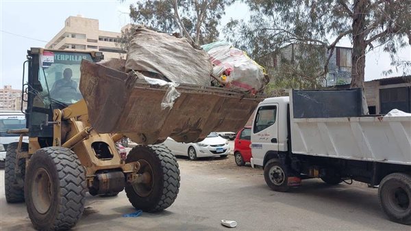 الجهود التنفيذية