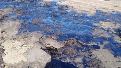 تطهير البحر.. البيئة تستجيب لشكوى المواطنين من ظهور بقعة زيت بشاطئ رأس سدر| صور 