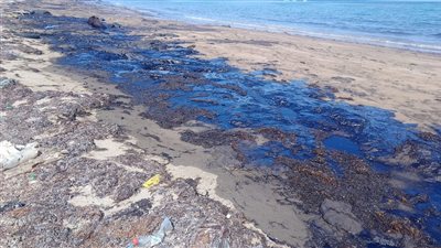 بعد ظهور بقعة زيتية.. وزيرة البيئة: بدء أعمال تطهير شاطئ أبو رديس وسحب عينات لتحديد السبب