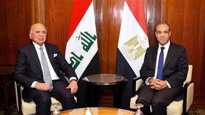 وزير الخارجية يناقش مع نظيره العراقي تعزيز التعاون في الربط الكهربائي ودعم السياحة