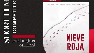 إسبانيا تشارك في فعاليات الدورة التاسعة من مهرجان أسوان الدولي لأفلام المرأة