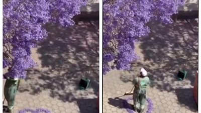 على هيئة قلب.. عامل نظافة سعودي ينسق أوراق الشجر المتساقطة ويثير إعجاب السوشيال ميديا