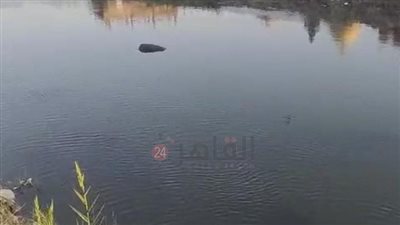 بسبب ارتفاع منسوب المياه.. تحذير عاجل من للمواطنين بأشمون بإخلاء أراضي طرح النهر 