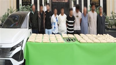 ضبط متهمين جدد في قضية الحشيش الصناعي.. والداخلية تحبط صفقة بـ208 ملايين جنيه