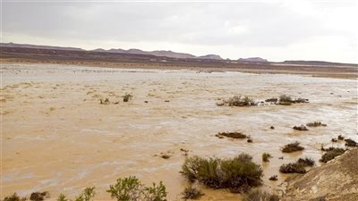 الري: الأمطار أدت لسيول ضعيفة في عدة مناطق بسيناء دون خسائر