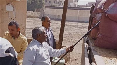 شون وصوامع المنيا تستقبل 150 ألف طن من القمح ضمن موسم توريد 2025