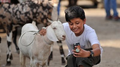 عدد أيام إجازة عيد الأضحى المبارك 2025.. الإجازة الأطول خلال العام