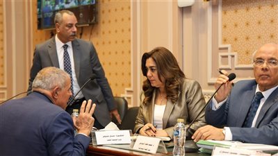 وزيرة التنمية المحلية تشارك في مناقشة مشروعي قانونين مقدمين من الحكومة بشأن الإيجار