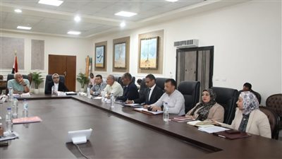 تخصيص أراضي مجانية لمبادرات بيع السلع الأساسية بأسعار مخفضة في الوادي الجديد