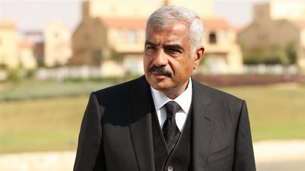 هشام طلعت مصطفى