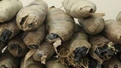 السجن 15 عاما لسائق لإتجاره في المخدرات بشرم الشيخ