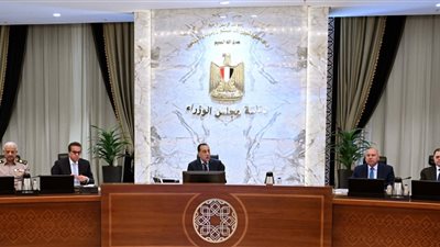 الحكومة توافق على تأسيس شركة نبتا بلايا لاستحداث ونقل علوم الفضاء وتصنيع الأقمار الصناعية