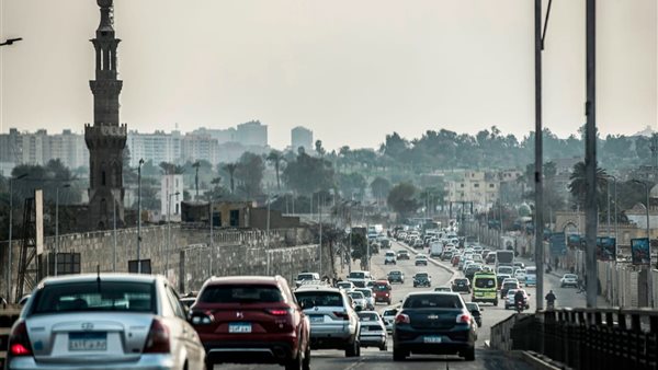 عدد المركبات المرخصة