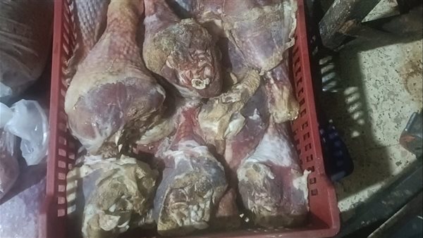 لحوم فاسدة بالجيزة