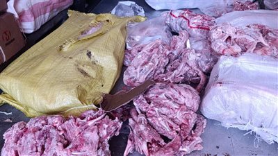 ضبط طن ونصف دواجن غير صالحة للاستهلاك الآدمي في القليوبية 