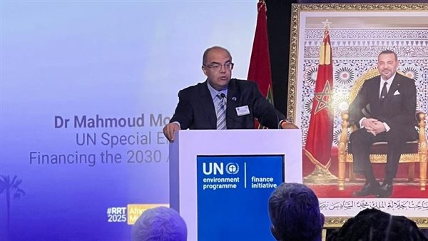  الدكتور محمود محيي