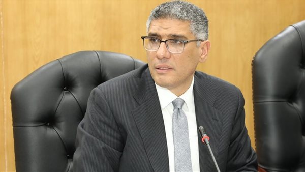 محافظ الجيزة 