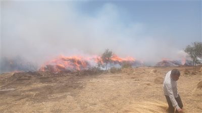 22 سيارة إطفاء.. استمرار أعمال السيطرة على حريق شونة كتان بالغربية