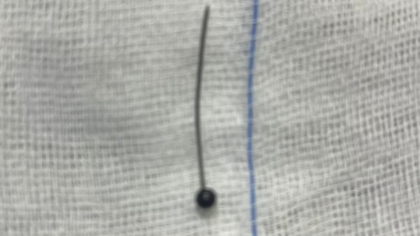 الدبوس المستخرج من