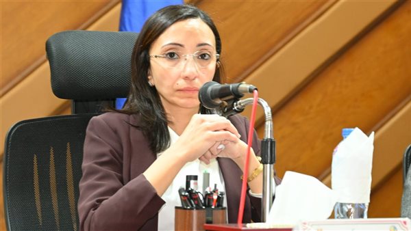 محافظ البحيرة 